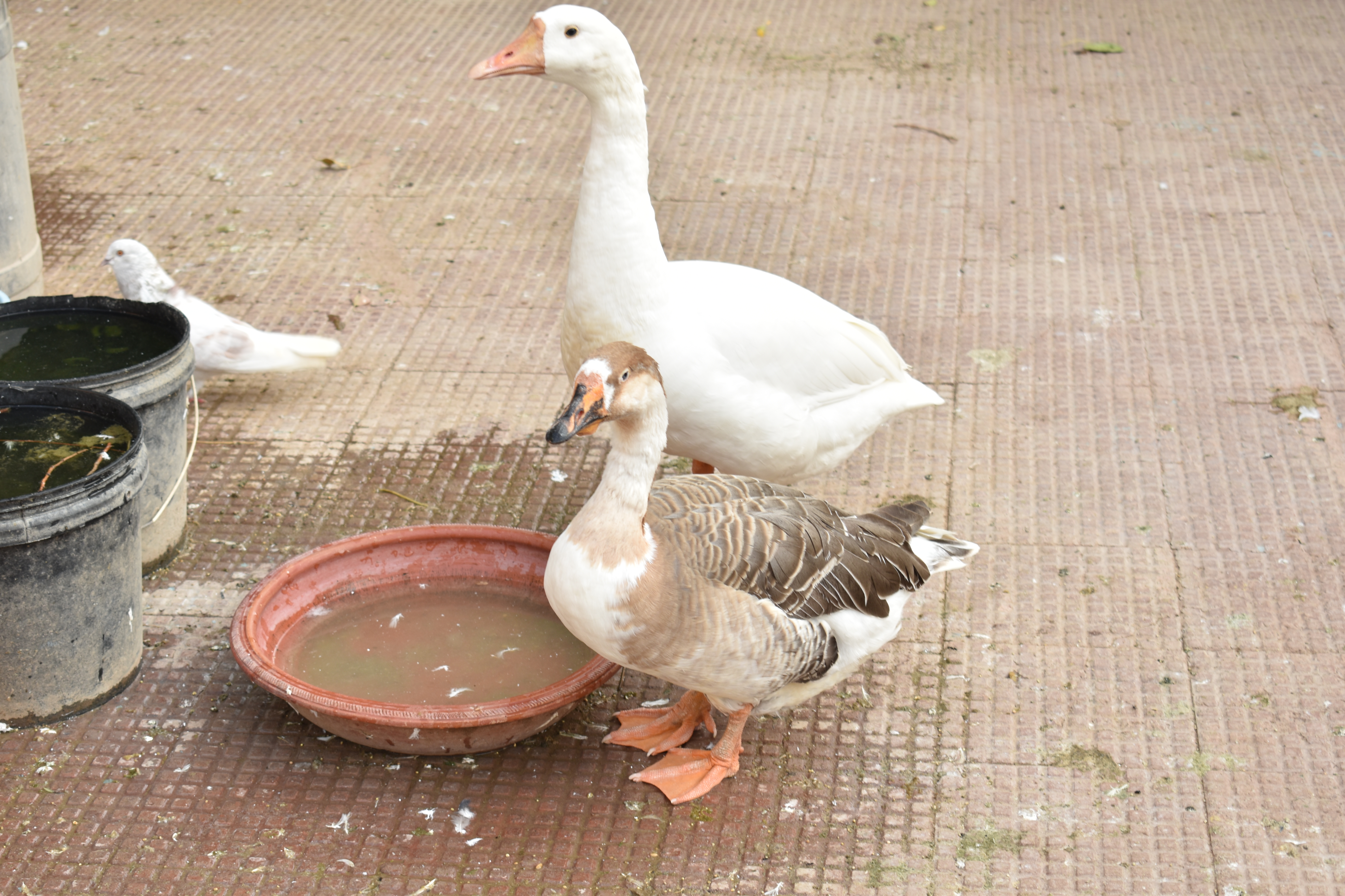 ANUBANDH VRIDDHASHRAM